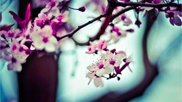 Web4bussines em Avar�