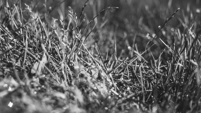 Web4buzines em Gramado