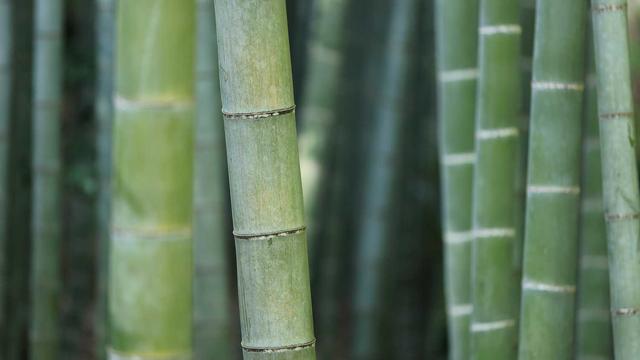 Webdesigner em em Barro