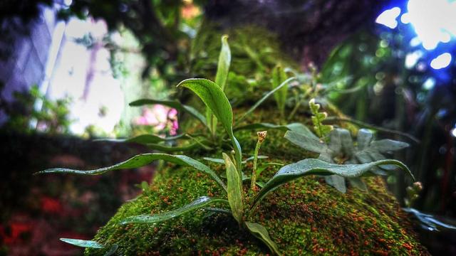 Webdesigner em em Ivat�