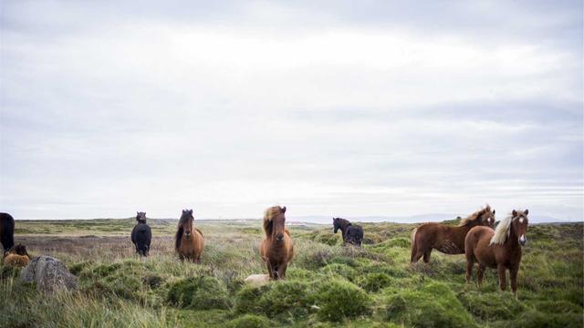 Webdesigner em em Rio Sono