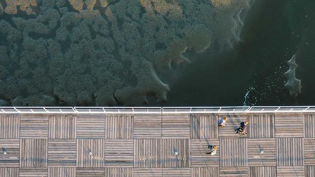 Webdesigner em em Varge�o