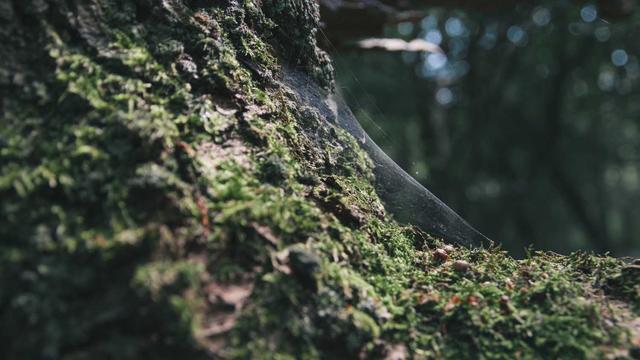 Webdesigner porto alegre em Santana do Garamb�u