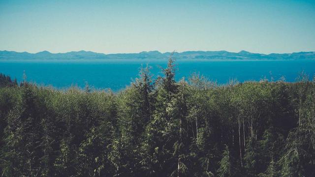Webdesigner porto alegre em Xanxer�